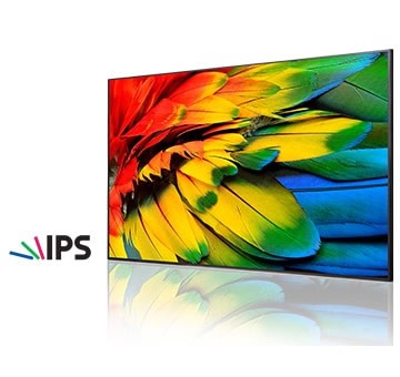 Колаж про IPS технологію